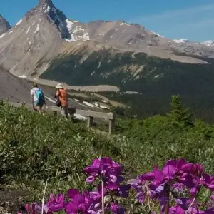 Explore 7 Day Rocky Mountain Camping Adventure for 7 days with Fresh Adventures and discover unforgettable experiences - Photo 2
