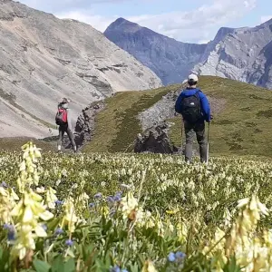 Explore 9 Day Rockies Hiking and Camping Tour for 9 days with Fresh Adventures and discover unforgettable experiences - Photo 7