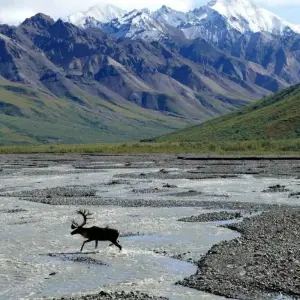 Explore Amazing Alaska- 12 Day Alaska Guided Hiking Tour for 12 days with Fresh Adventures and discover unforgettable experiences - Photo 4
