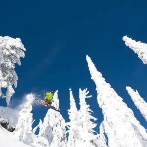 Explore British Columbia Ski Tour 11 Days for 11 days with Fresh Adventures and discover unforgettable experiences - Photo 3