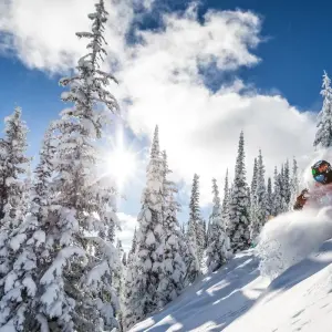 Explore British Columbia Ski Tour 11 Days for 11 days with Fresh Adventures and discover unforgettable experiences - Photo 4