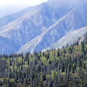 Explore Gems of the Yukon | Hiking Tour with Hotel Stays for 7 days with Fresh Adventures and discover unforgettable experiences - Photo 5