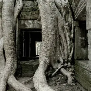 Explore Essential Vietnam & Cambodia for 17 days with G Adventures and discover unforgettable experiences - Photo 2