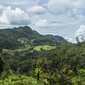 Explore Northern Thailand: Hilltribes & Villages for 8 days with G Adventures and discover unforgettable experiences - Photo 8