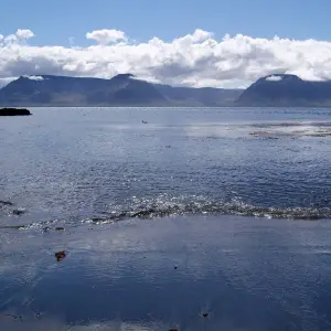 Explore 12 Days Combo Northern Lights Secrets - Westfjords & Guided Iceland Circle for 12 days with GJ Travel and discover unforgettable experiences - Photo 10