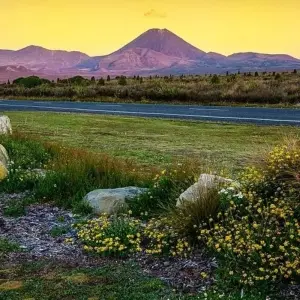 Explore New Zealand: Best of the North Island for 7 days with G Adventures and discover unforgettable experiences - Photo 2
