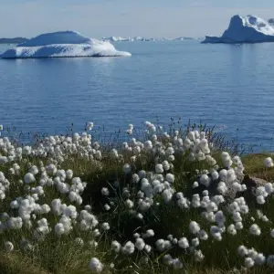 Explore Amazing Days in Ilulissat - 5 Days for 5 days with GJ Travel and discover unforgettable experiences - Photo 8