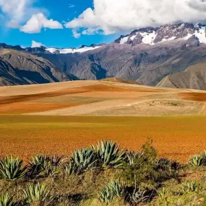 Explore Trekking the Inca Trail: 5D/4N for 5 days with G Adventures and discover unforgettable experiences - Photo 5