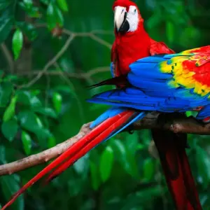 Explore Amazon to the Andes for 12 days with G Adventures and discover unforgettable experiences - Photo 3