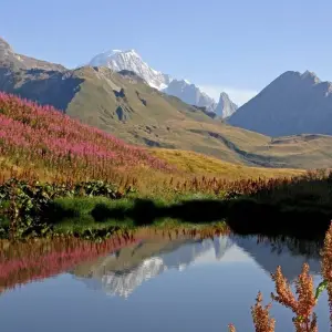 Explore Trekking Mont Blanc for 10 days with G Adventures and discover unforgettable experiences - Photo 4