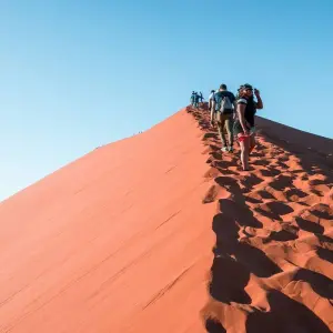Explore Highlights of Southern Africa for 30 days with G Adventures and discover unforgettable experiences - Photo 8