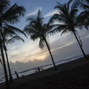 Explore Costa Rica Quest for 9 days with G Adventures and discover unforgettable experiences - Photo 2