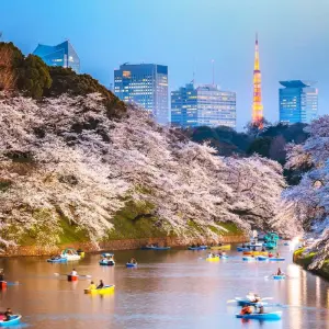 Explore Active Japan: North to South Adventure for 18 days with G Adventures and discover unforgettable experiences - Photo 7