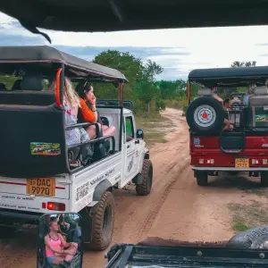 Explore Sri Lanka Express for 8 days with G Adventures and discover unforgettable experiences - Photo 11