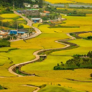 Explore South Korea Explorer for 9 days with G Adventures and discover unforgettable experiences - Photo 7