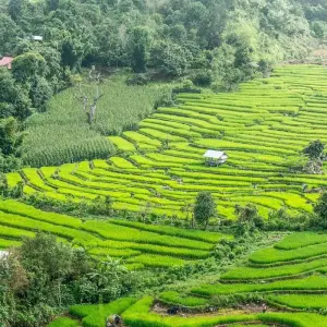Explore Southeast Asia: Hilltribes & Street Food for 21 days with G Adventures and discover unforgettable experiences - Photo 10