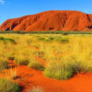 Explore Iconic Australia: Famous Cities & Red Centre Explorer for 10 days with G Adventures and discover unforgettable experiences - Photo 3