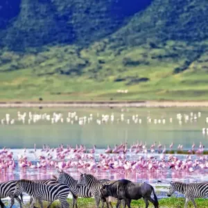 Explore Kenya to Zimbabwe Overland Safari for 20 days with G Adventures and discover unforgettable experiences - Photo 4