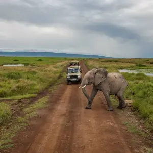 Explore Kenya to Zimbabwe Overland Safari for 20 days with G Adventures and discover unforgettable experiences - Photo 8