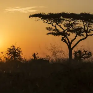 Explore Nairobi to Joburg Overland: Craters & Camping for 27 days with G Adventures and discover unforgettable experiences - Photo 3