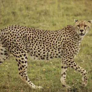 Explore Nairobi to Joburg Overland: Craters & Camping for 27 days with G Adventures and discover unforgettable experiences - Photo 9
