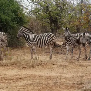 Explore Nairobi to Joburg Overland: Craters & Camping for 27 days with G Adventures and discover unforgettable experiences - Photo 10