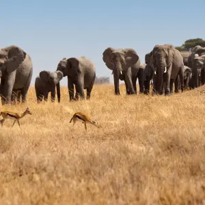 Explore Nairobi to Joburg Overland: Craters & Camping for 27 days with G Adventures and discover unforgettable experiences - Photo 11