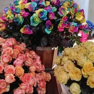 Explore Ecuador Wine and Roses 3 Days Tour for 3 days with GUIDEcuador Travel and discover unforgettable experiences - Photo 4