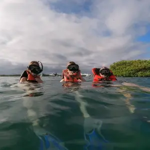 Explore Fly Galapagos Unique 9 Days Tour for 9 days with GUIDEcuador Travel and discover unforgettable experiences - Photo 3
