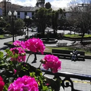 Explore Ecuador Wine and Roses 3 Days Tour for 3 days with GUIDEcuador Travel and discover unforgettable experiences - Photo 10