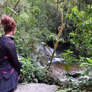 Explore Best of Colombia 11 Days Tour for 11 days with GUIDEcuador Travel and discover unforgettable experiences - Photo 3