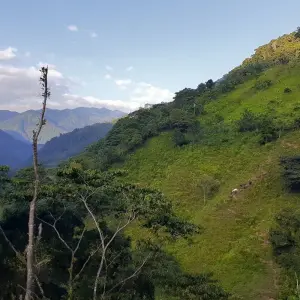 Explore Lost City Trek & Cartagena 8 Days for 8 days with GUIDEcuador Travel and discover unforgettable experiences - Photo 3