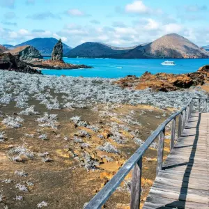 Explore Galapagos Ultimate 6 Days Tour for 6 days with GUIDEcuador Travel and discover unforgettable experiences - Photo 7