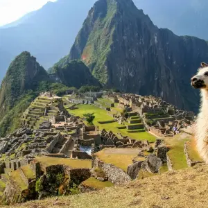Explore GalaPicchu Insiders 10 Days Tour for 10 days with GUIDEcuador Travel and discover unforgettable experiences - Photo 7