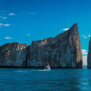 Explore Galapagos Ultimate 6 Days Tour for 6 days with GUIDEcuador Travel and discover unforgettable experiences - Photo 8