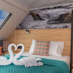 Explore Bonita Tourist Superior Yacht - 7 Days for 7 days with GUIDEcuador Travel and discover unforgettable experiences - Photo 5