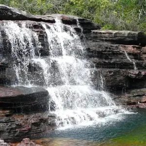 Explore Caño Cristales 3 days tour from Bogota for 3 days with GUIDEcuador Travel and discover unforgettable experiences - Photo 2