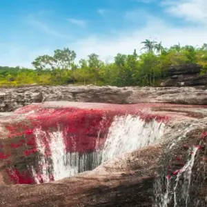 Explore Caño Cristales 3 days tour from Bogota for 3 days with GUIDEcuador Travel and discover unforgettable experiences - Photo 4