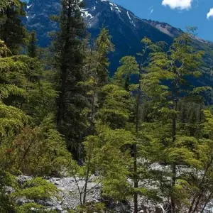 Explore Highlights of Chile & Argentina for 10 days with G Adventures and discover unforgettable experiences - Photo 7
