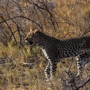 Explore Nairobi to Zanzibar: Serengeti & Sunsets for 10 days with G Adventures and discover unforgettable experiences - Photo 3