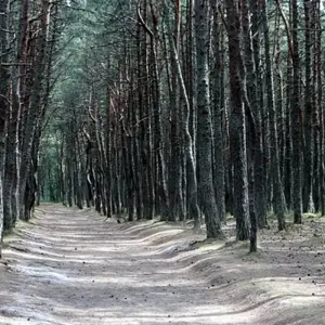 Explore Baltic Adventure for 13 days with G Adventures and discover unforgettable experiences - Photo 8