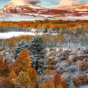 Explore Zion to San Francisco Adventure for 14 days with G Adventures and discover unforgettable experiences - Photo 7