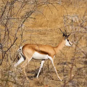 Explore Nairobi to Zanzibar: Serengeti & Sunsets for 10 days with G Adventures and discover unforgettable experiences - Photo 4