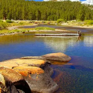 Explore Zion to San Francisco Adventure for 14 days with G Adventures and discover unforgettable experiences - Photo 9