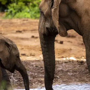Explore Nairobi to Zanzibar: Serengeti & Sunsets for 10 days with G Adventures and discover unforgettable experiences - Photo 7
