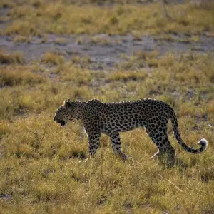 Explore Nairobi to Zanzibar: Serengeti & Sunsets for 10 days with G Adventures and discover unforgettable experiences - Photo 8