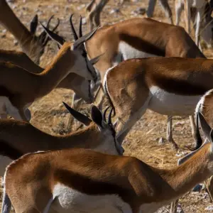 Explore Nairobi to Zanzibar: Serengeti & Sunsets for 10 days with G Adventures and discover unforgettable experiences - Photo 9
