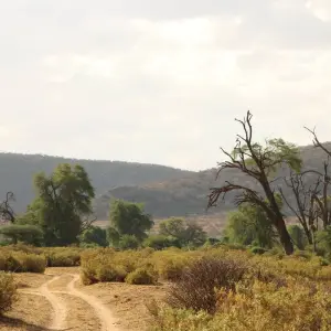 Explore Nairobi to Zanzibar: Serengeti & Sunsets for 10 days with G Adventures and discover unforgettable experiences - Photo 11