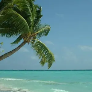 Explore Maldives Dhoni Explorer for 7 days with G Adventures and discover unforgettable experiences - Photo 2