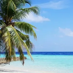 Explore Maldives Dhoni Explorer for 7 days with G Adventures and discover unforgettable experiences - Photo 4